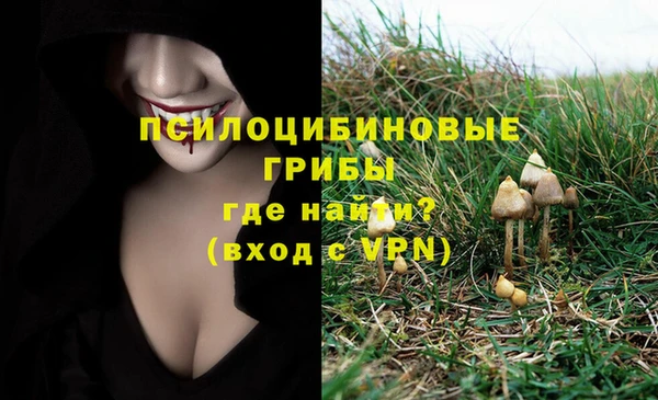 ALPHA PVP Алексеевка
