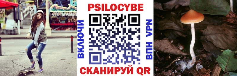 Галлюциногенные грибы Magic Shrooms  Владимир 